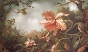 Martin Johnson Heade The Hummingbirds and Two Varieties of Orchids oil painting reproduction